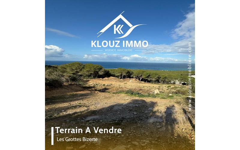 Terrain 2